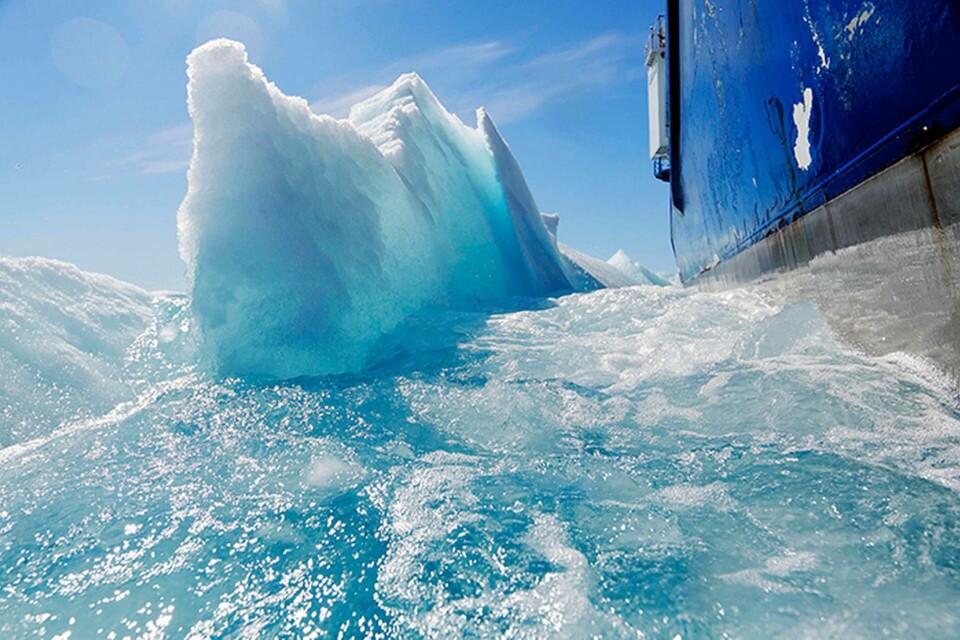 Foto: AP Photo/David Goldman/TT Foto: AP Photo/David Goldman/TT