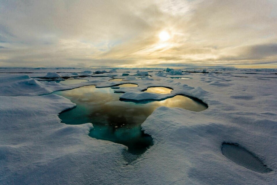 Arktis sjöis Foto: Stefan Hendricks, Alfred-Wegener