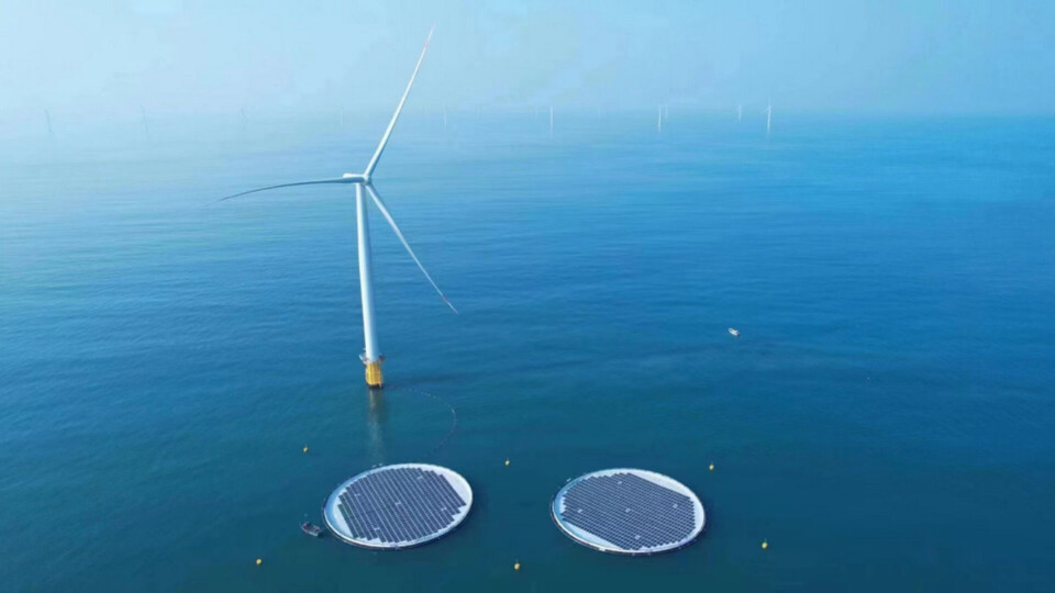 Tanken är att Ocean Suns flytande solkraftsplattformar ska komplettera elproduktionen från den havsbaserade vindkraften. Foto: Ocean Sun Tanken är att Ocean Suns flytande solkraftsplattformar ska komplettera elproduktionen från den havsbaserade vindkraften. Foto: Ocean Sun