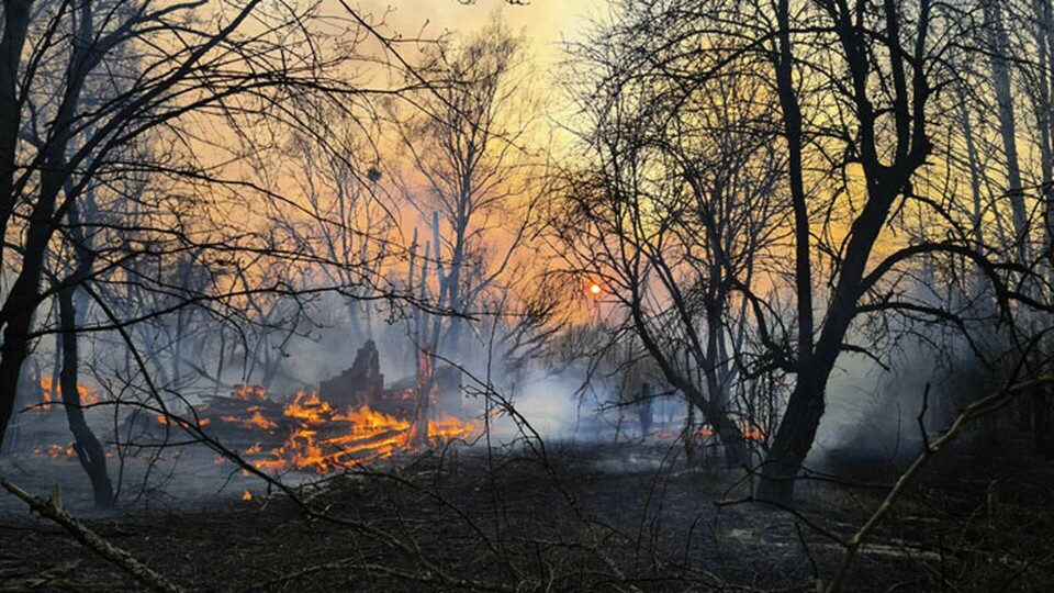 Skogsbranden i den avspärrade zonen nära kärnkraftverket i Tjernobyl. Foto: Yaroslav Yemelianenko/AP/TT