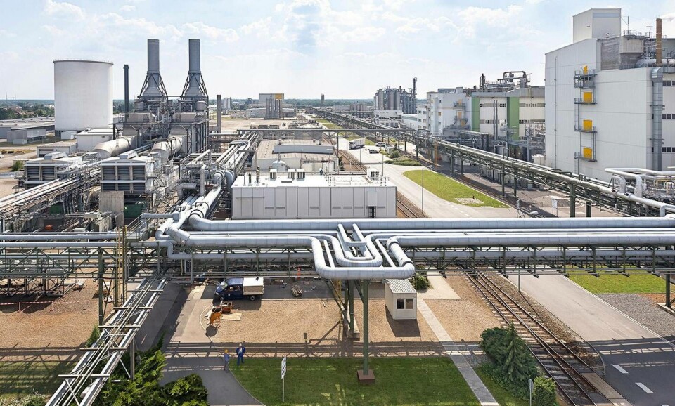 Foto: BASF Foto: BASF