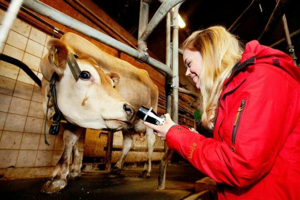 ”Kor är väldigt intelligenta. Det har jag fattat sedan jag grundade Agricam”, säger Ellinor Eineren, som valt att ha företaget hos inkubatorn Lead i Linköping. Foto: Jörgen Appelgren