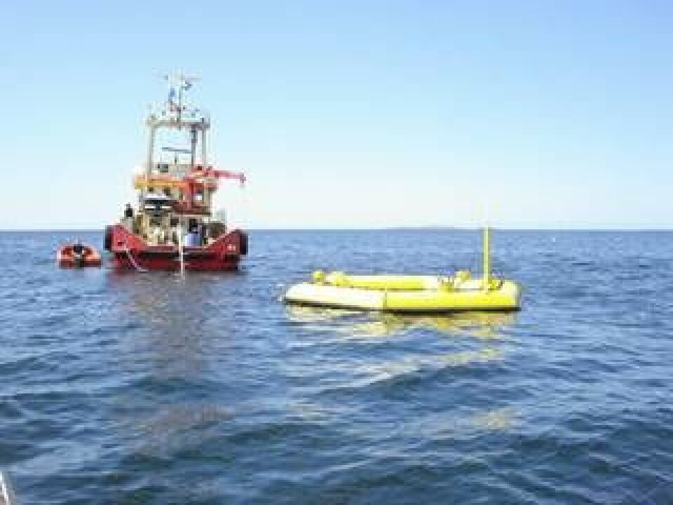 Bojar vid vattenytan genererar rörelseenergi till generatorn på havsbotten.