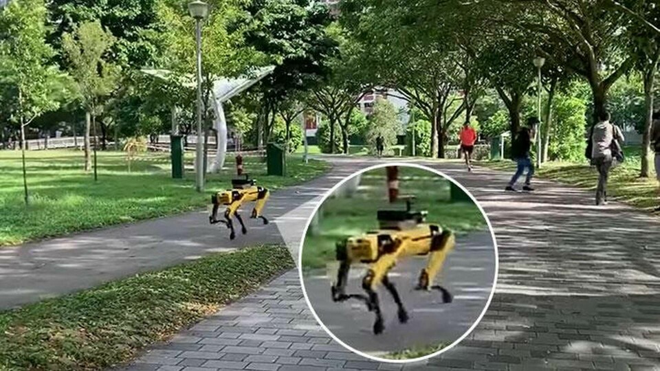 Här patrullerar robothunden Spot. Uppgiften är att påminna människor om att hålla avstånd från varandra.