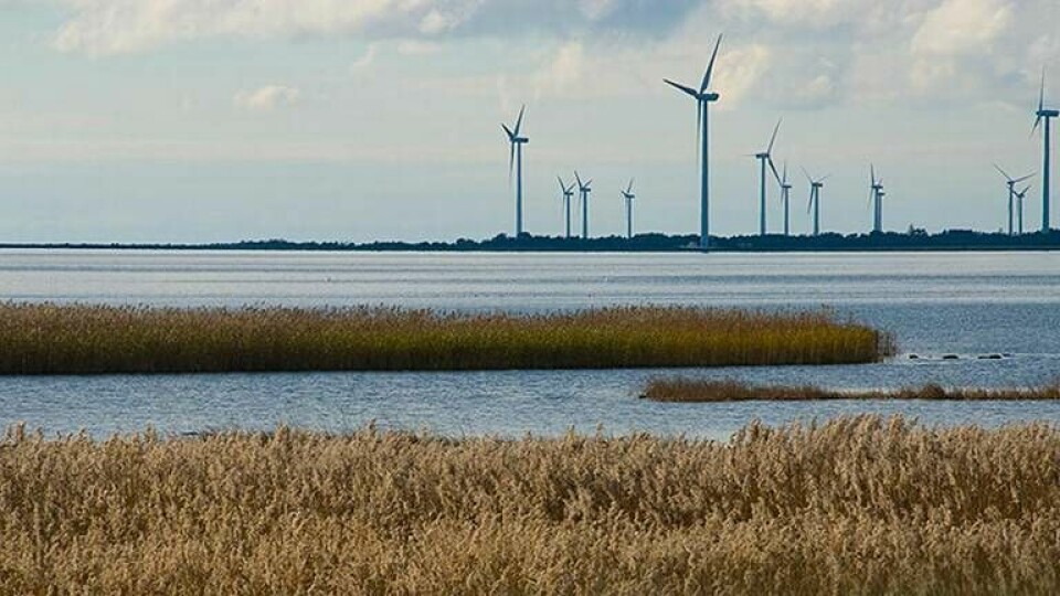 Vindkraften på Gotland stod för 0,4 TWh år 2013. Den totala elanvändningen är högre (0,9 TWh samma år), men tidvis kan Gotland exportera el till fastlandet. Foto: Bernhard Limberger