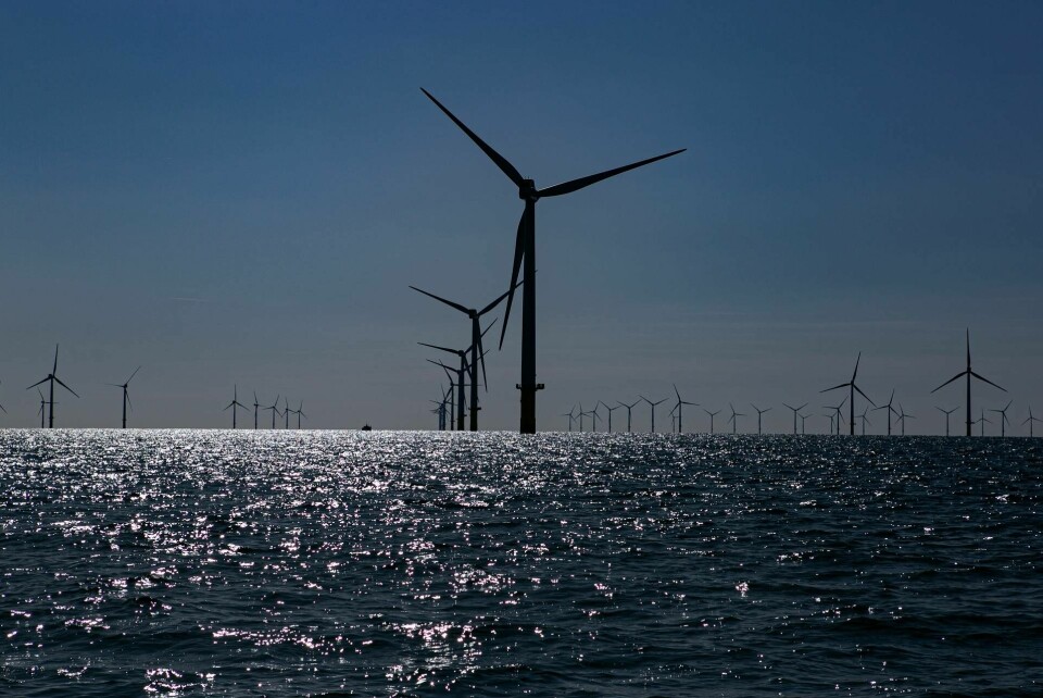 Rampion Offshore Wind Farm, Storbritanniens södra kust. Foto: Matt Duckett