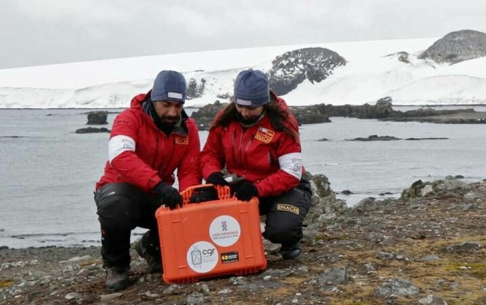 Forskarna Alexis Gaete och Macarena Vara under arbetet på Antarktis. Foto: AFP/Universidad de Chile/Christian Fuentes Valencia/TT