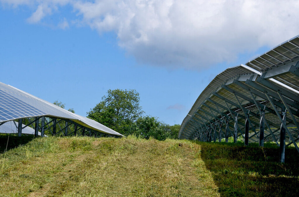 Solpaneler i Clifton Park i New York. Foto: Hans Pennink/AP/TT Solpaneler i Clifton Park i New York. Foto: Hans Pennink/AP/TT