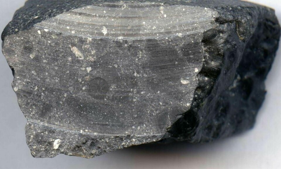 För några år sedan upptäcktes meteoriten NWA 7533, Black Beauty, i Sahara. Foto: NASA/Luc Labenne