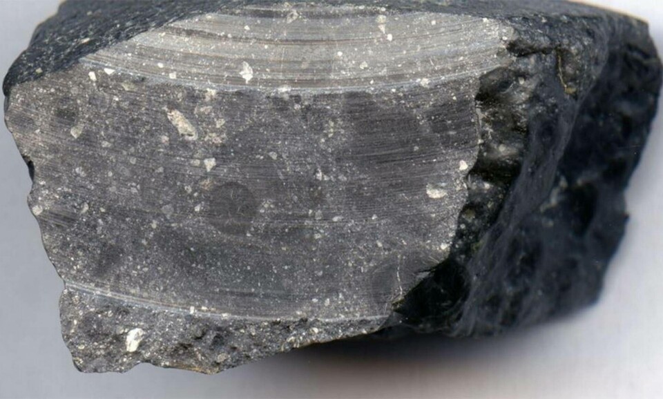 För några år sedan upptäcktes meteoriten NWA 7533, Black Beauty, i Sahara. Foto: NASA/Luc Labenne För några år sedan upptäcktes meteoriten NWA 7533, Black Beauty, i Sahara. Foto: NASA/Luc Labenne