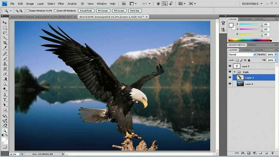 Grafikprocessorn snabbar upp Photoshop