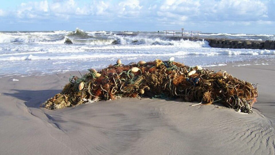 Spökgarn som till slut forslats upp på land av strömmarna. Foto: Mare Litt Baltic eu Spökgarn som till slut forslats upp på land av strömmarna. Foto: Mare Litt Baltic eu
