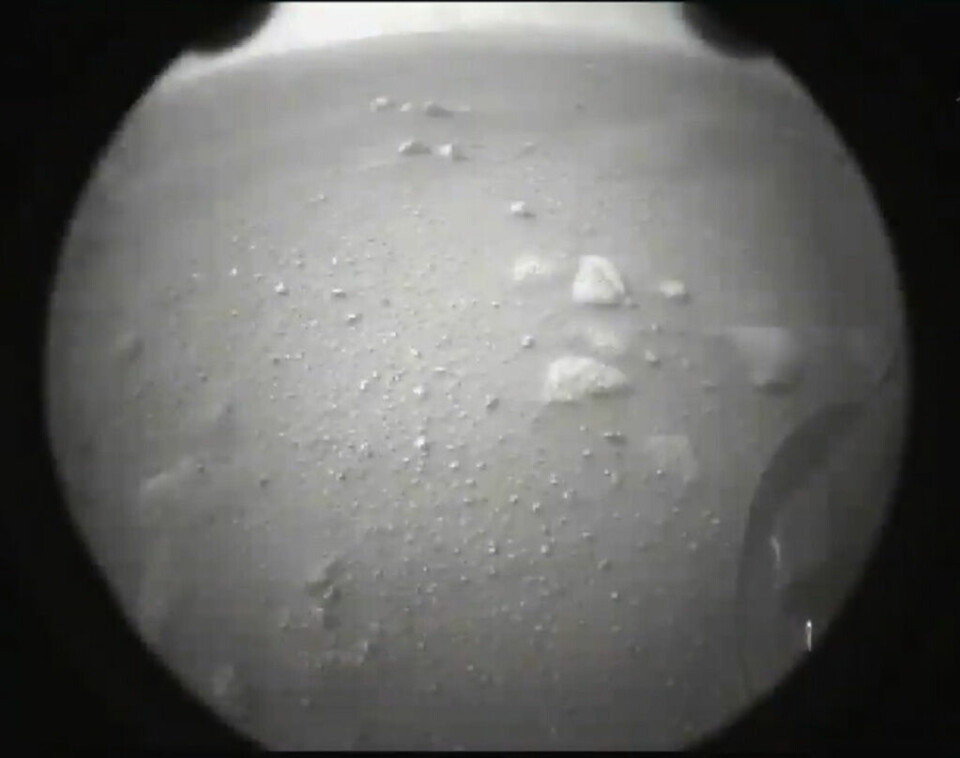 Första bilden på Mars från Nasas Perseverance. Foto: Nasa via AP/TT