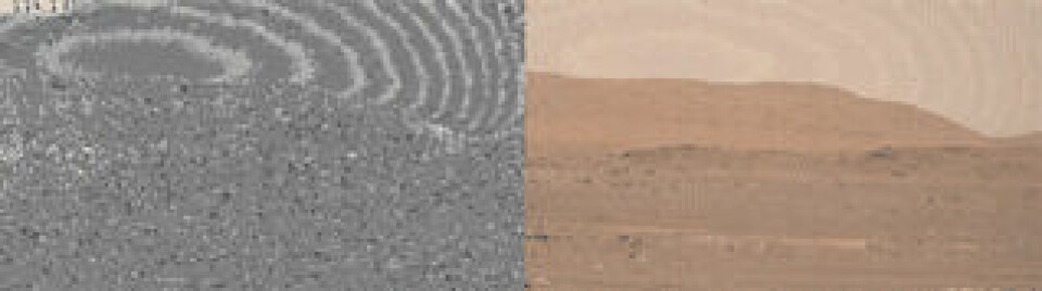 Dammboll som följde med Ingenuity när drönaren flög den 30 april 2021 Foto: NASA/JPL-Caltech/ASU/MSSS/SSI