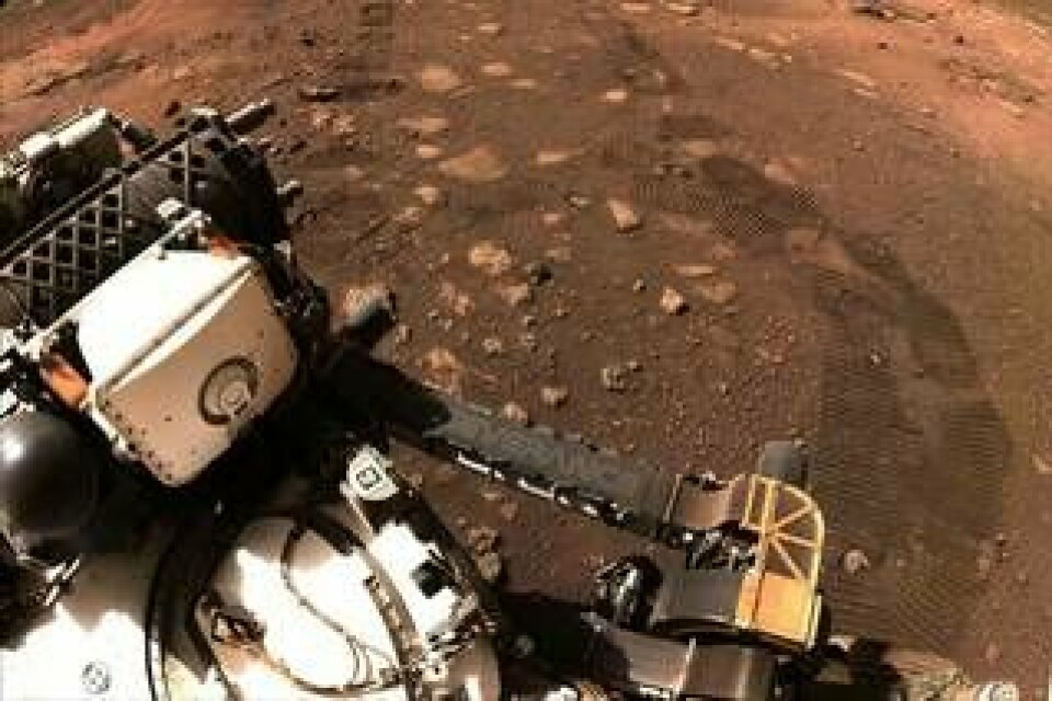 Perseverance tar sin först svängom på Mars. Foto: NASA/UPI/Shutterstock