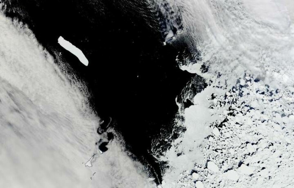 Här syns isberget som en avlång vit figur till vänster. Bilden är från den 31 oktober 2022. Isberget skiljer sig tydligt från havsisen i nedre högra hörnet. Skillnaden mellan isberg och havsis är att isberg har brutits loss från glaciärer och shelf-is, medan havsis är fruset havsvatten som flyter på havsytan. Foto: Nasa